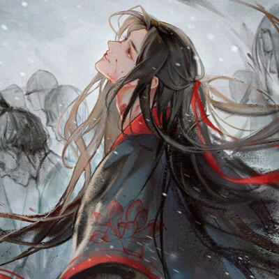 忘羡 魔道祖师