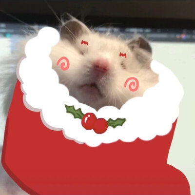 可爱小仓鼠圣诞头像
©不能吃的芋圆芋泥