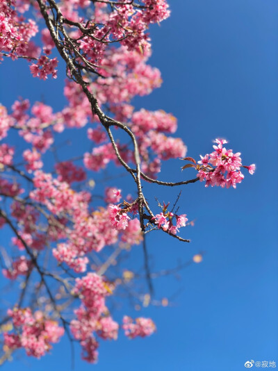 花花～
图源见水印～