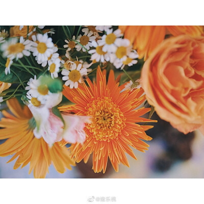 花花～
图源见水印～