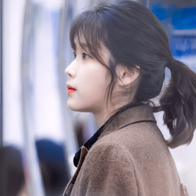 IU × 李至安