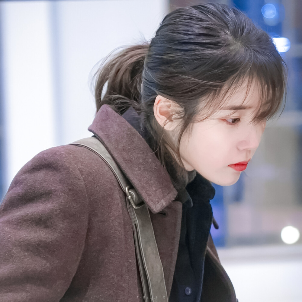 IU × 李至安