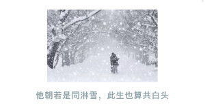 他朝若是同淋雪，此生也算共白头