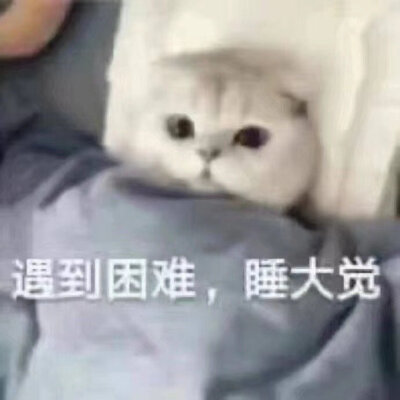 爷下班啦