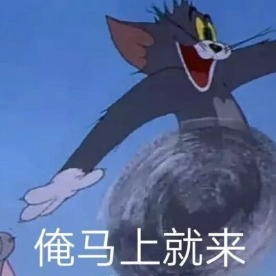 猫咪表情包，啾咪❤️