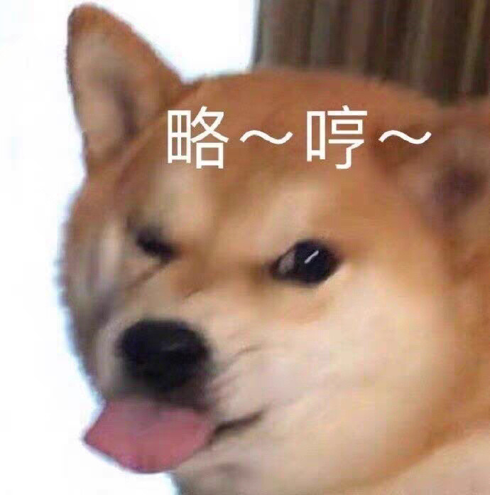 柴犬