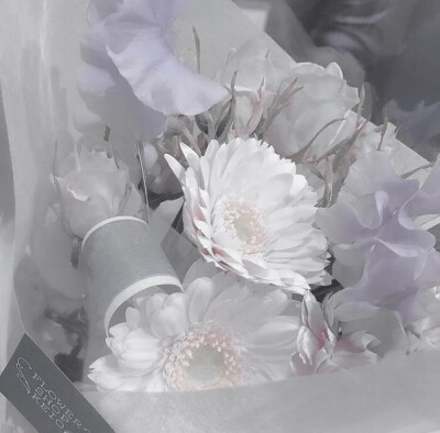 
一脚踩扁了紫罗兰，紫罗兰却把香味留在了那只脚上*Eternity

