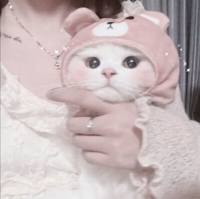 我自截自用的抱猫猫头像ฅ۶•ﻌ•♡