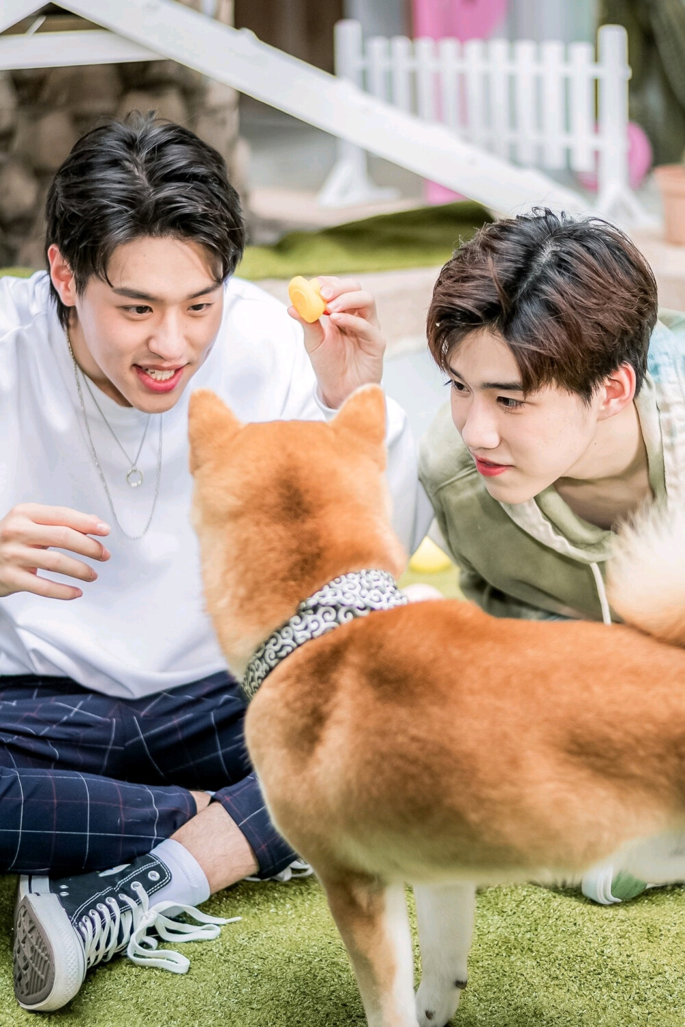 bkpp每一帧都那么心动