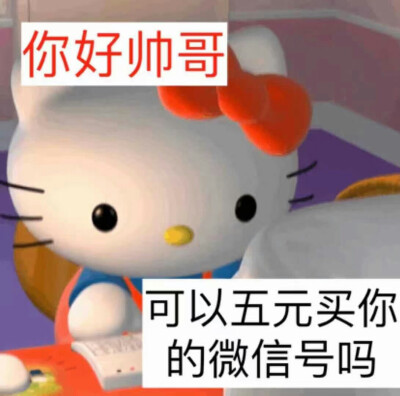 一只小奶熊吖