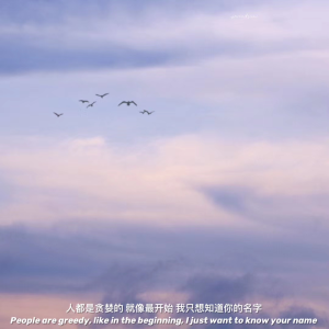 文字背景图丨朋友圈文案