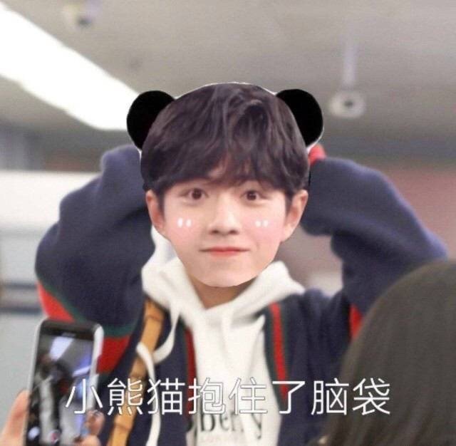 肖战表情包 小熊猫抱住了脑袋
