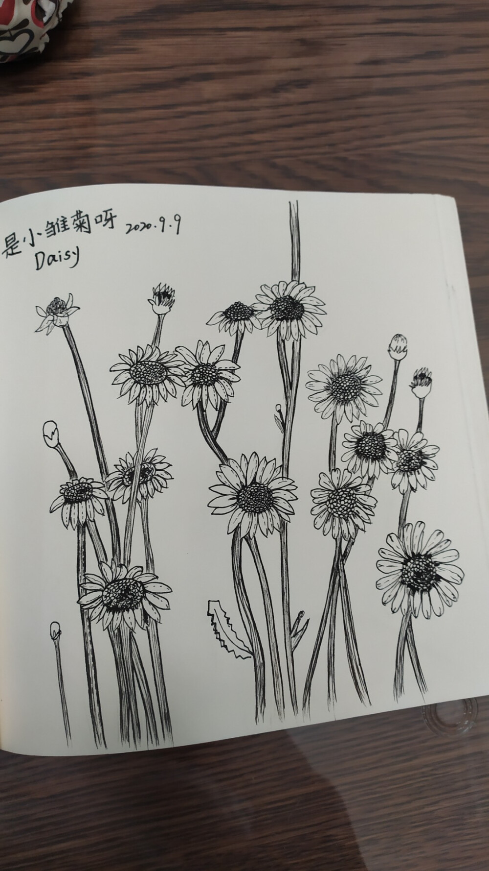 小植物