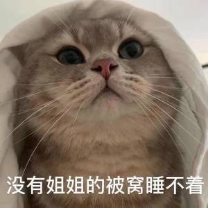 可爱动物表情包 萌宠猫咪