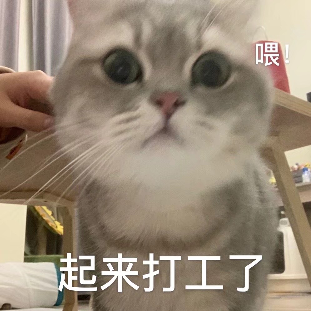 可爱猫咪表情包 动物萌宠