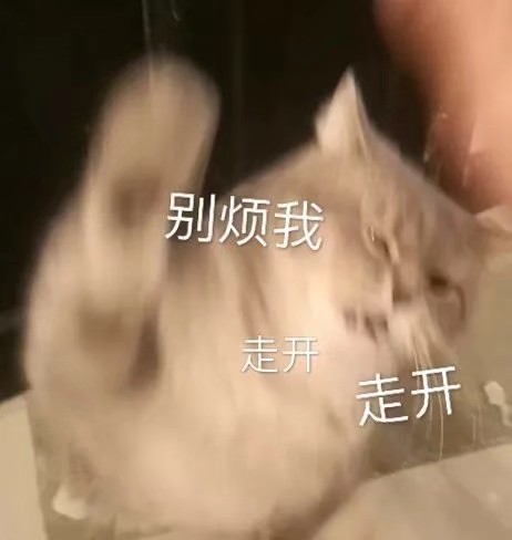 可爱猫咪表情包 动物萌宠