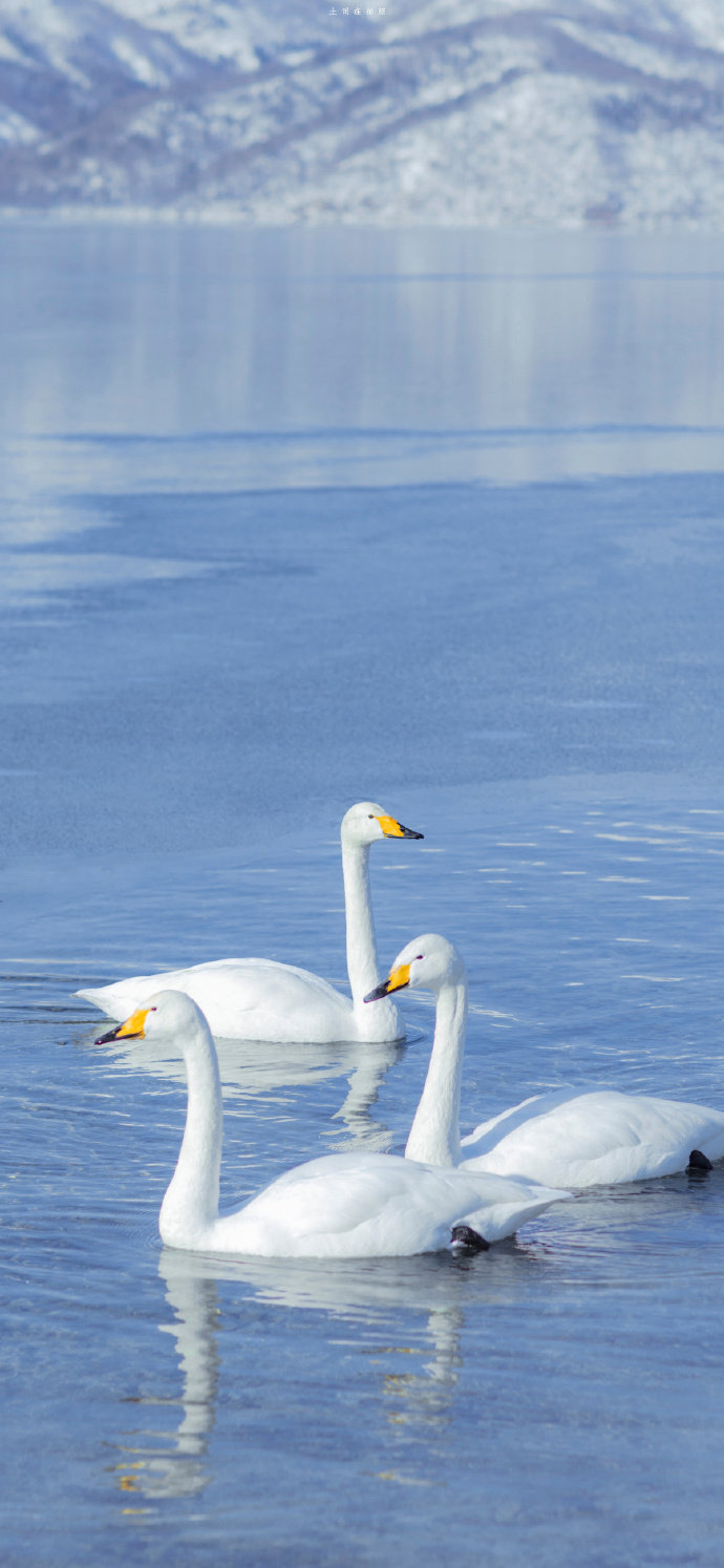 北海道❄
©土司在拍照