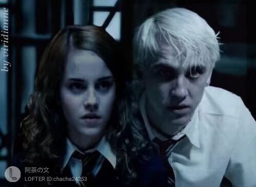 德赫 汤艾
Hermione Granger, Emma Watson; Draco Malfoy, Tom Felton