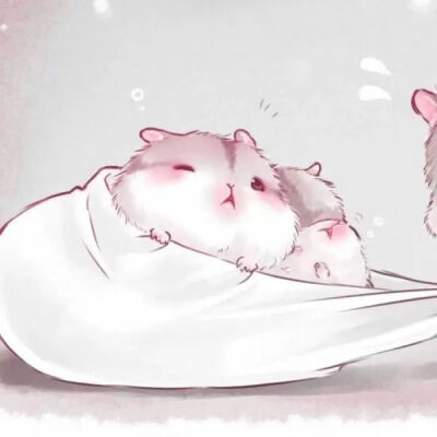 动漫情头，你喜欢的我都有，快快和对象一起用上吧，点赞加收藏，永远不迷路