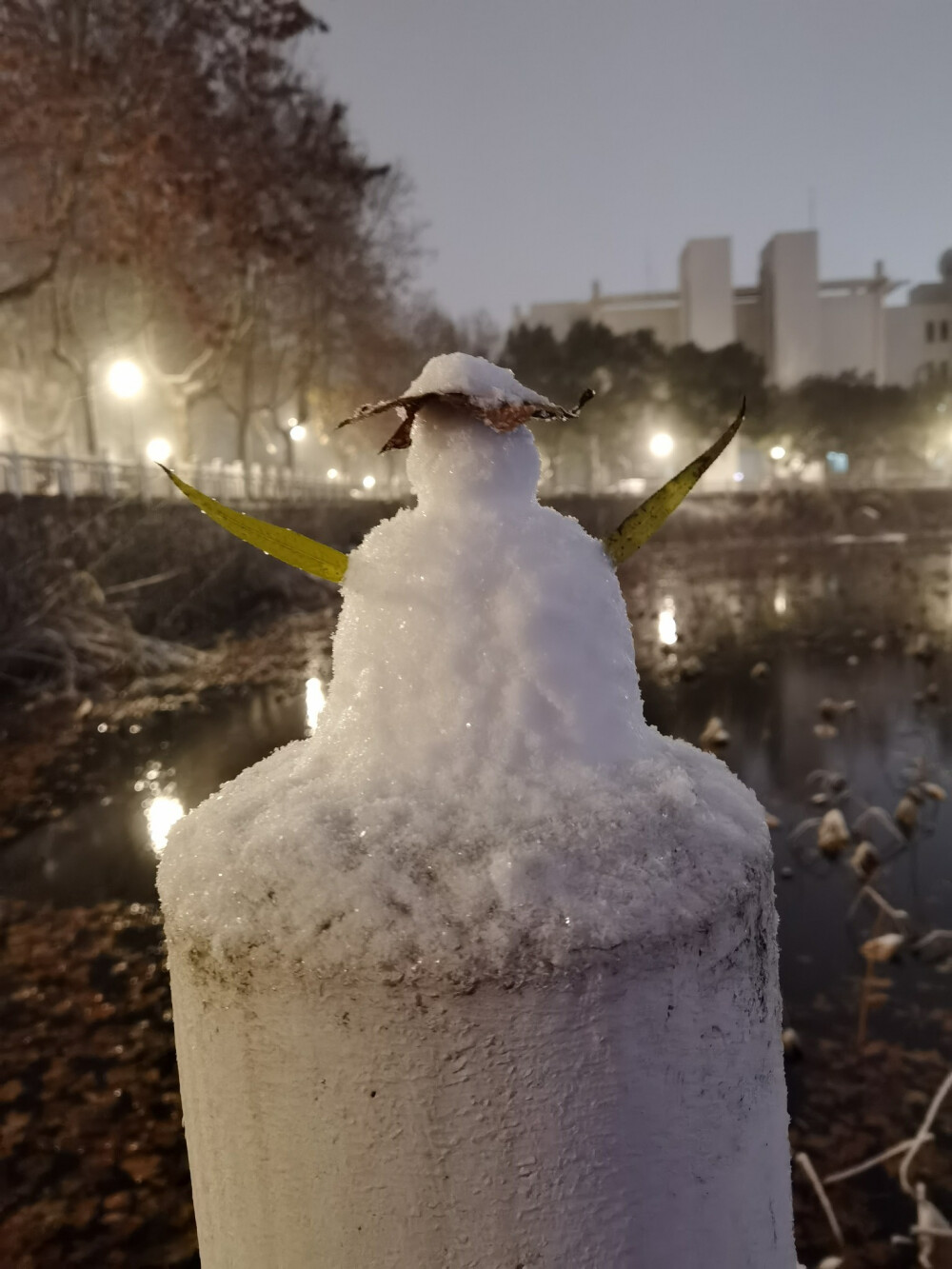 2020.12.09
南京大雪