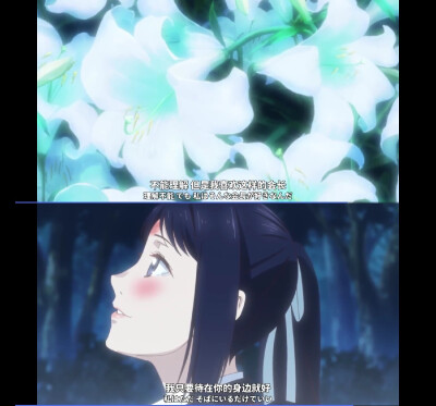 会长大人！！！！！！