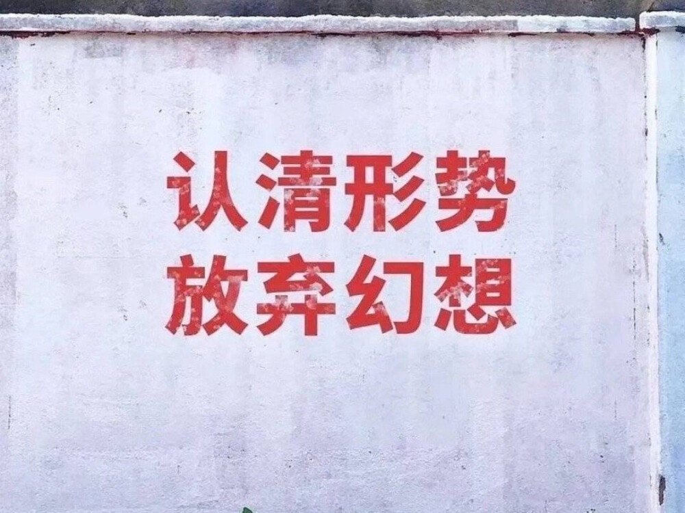 壁纸