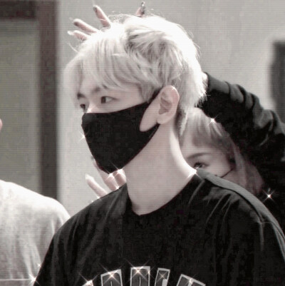 
#有些爱情就经不起季节轮替。