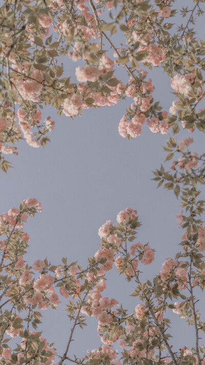 聊天背景 锁屏 壁纸