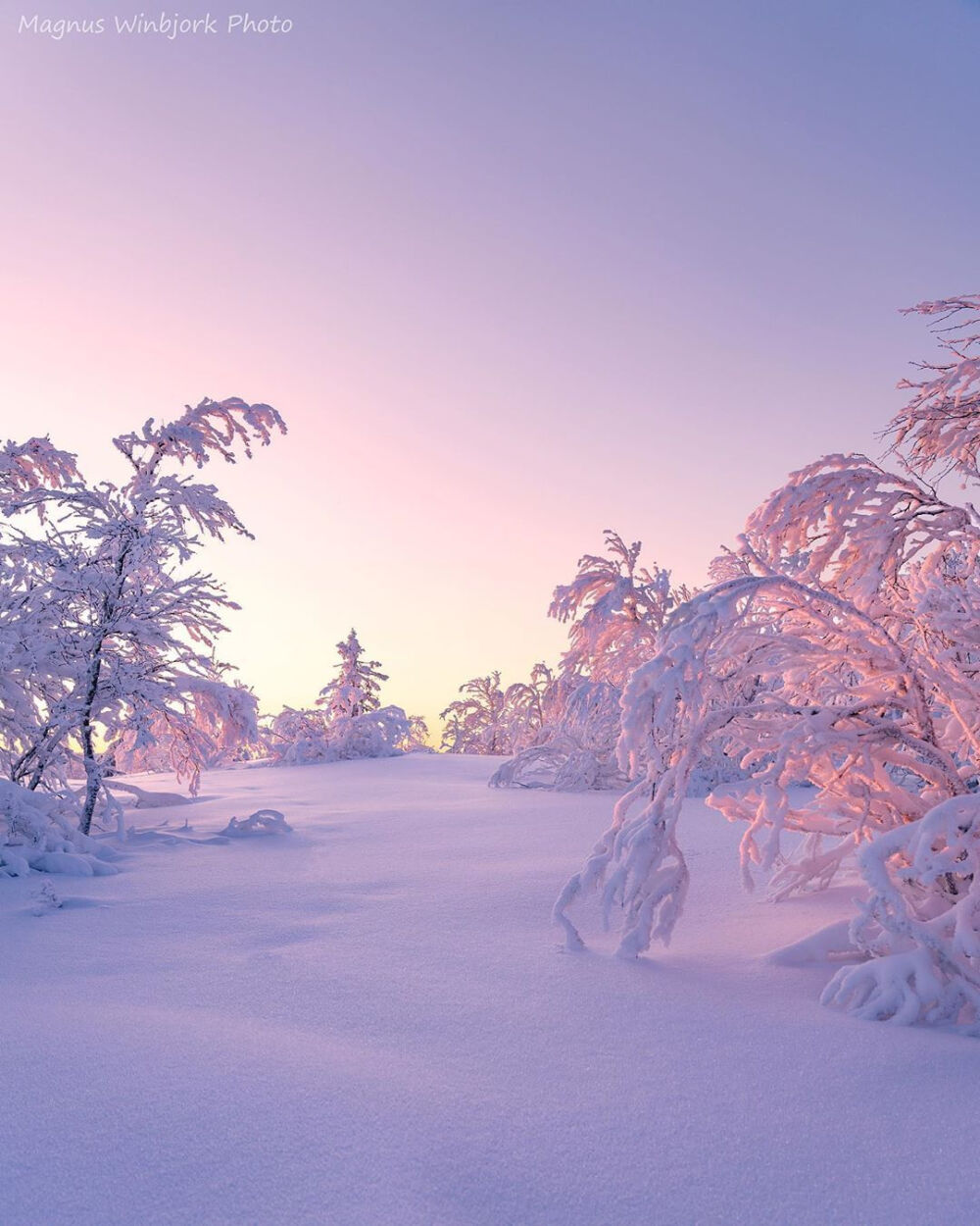  雪景壁纸
