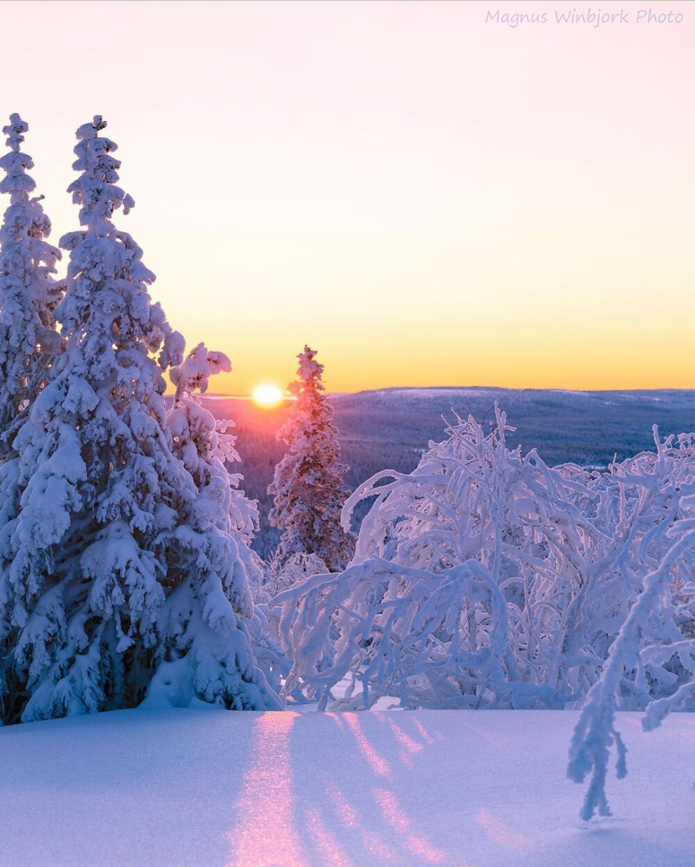  雪景壁纸
