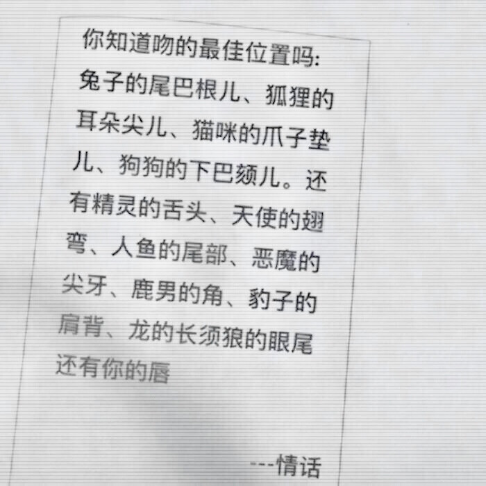 Messages:如果来得及我会给你写夜信/