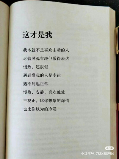 壁纸