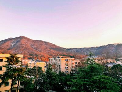 紫金山，雪，夕阳