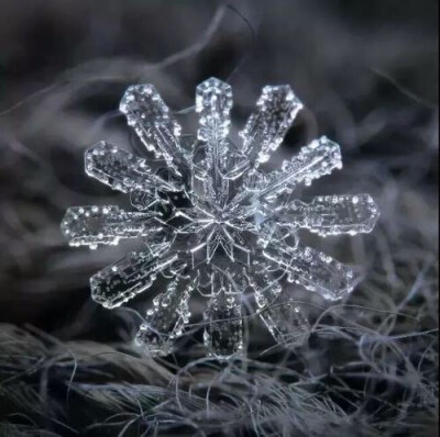 微距雪花