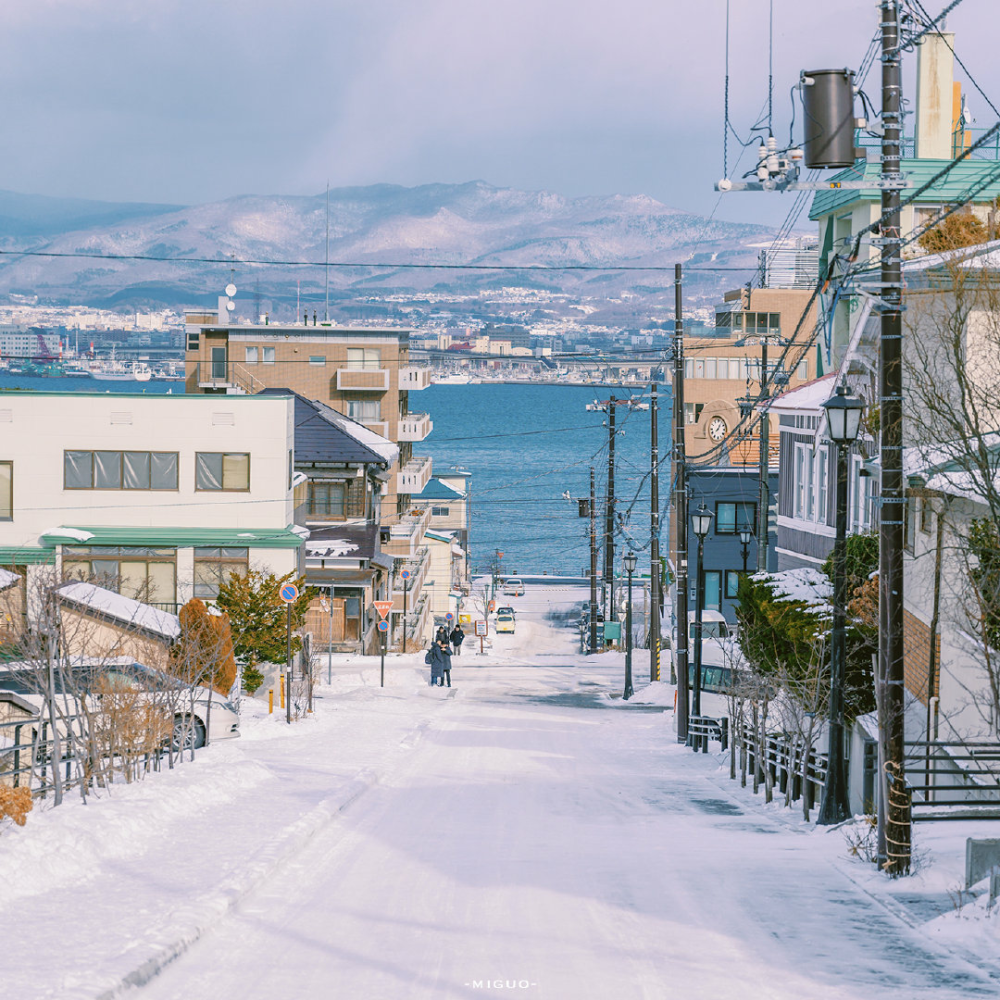 雪景