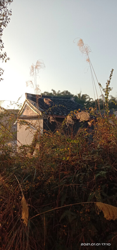 风景乡村