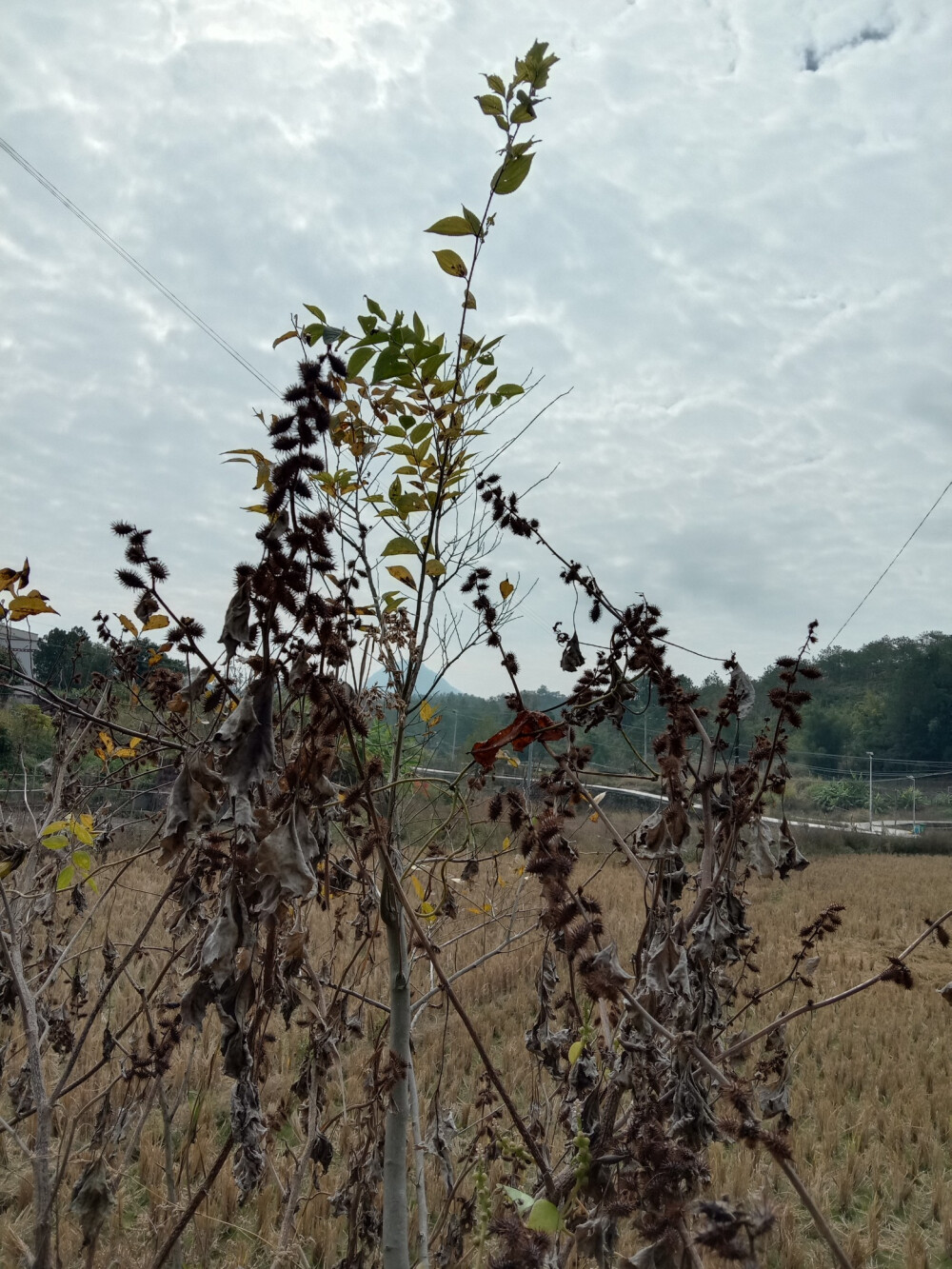 大自然风景景物壁纸