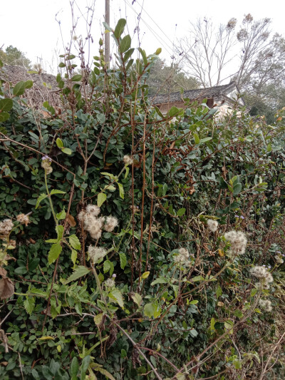 大自然风景景物壁纸