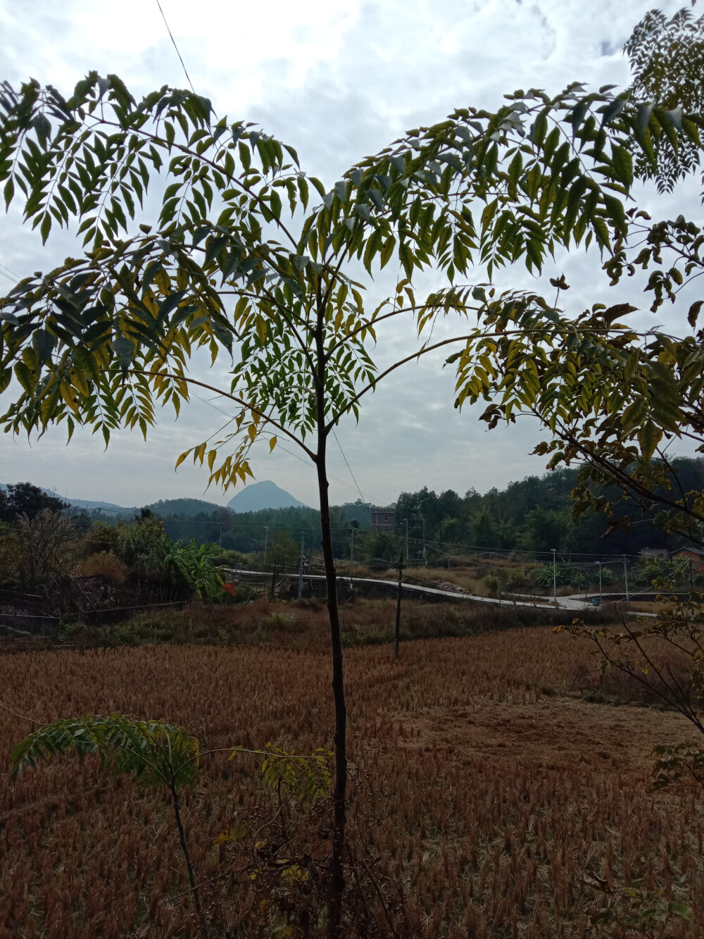 大自然风景景物壁纸