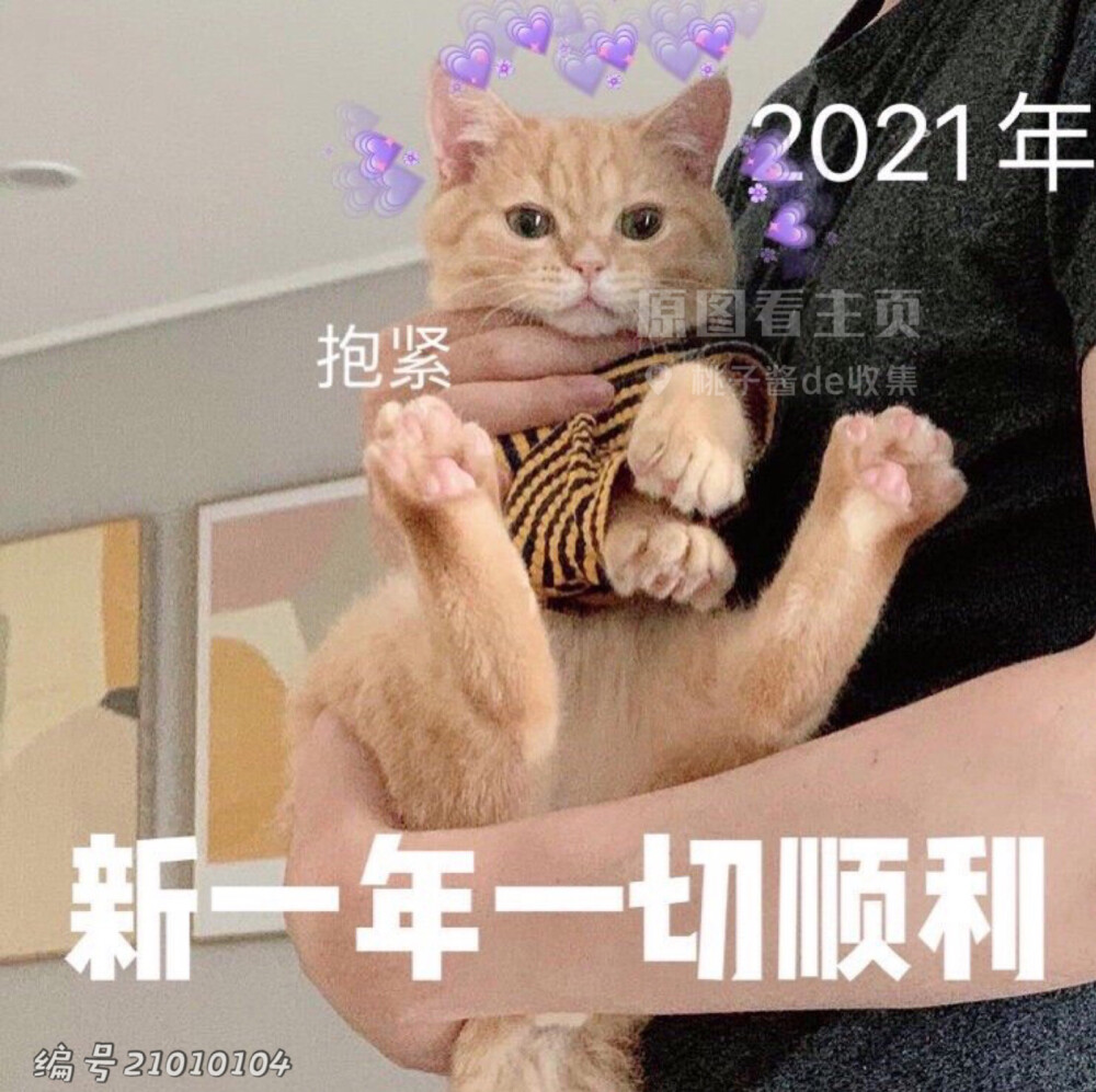 2021新年表情包