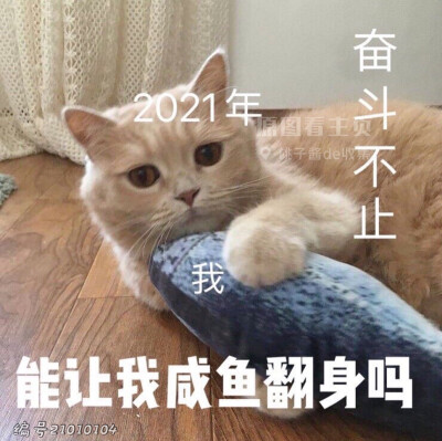 2021新年表情包