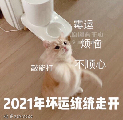 2021新年表情包