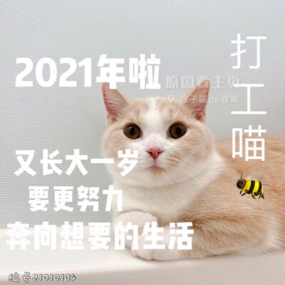 2021新年表情包