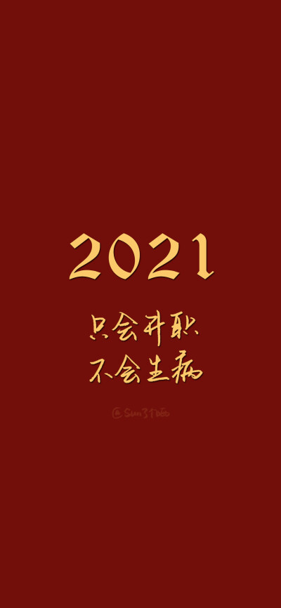 新年快乐！你好，2021！