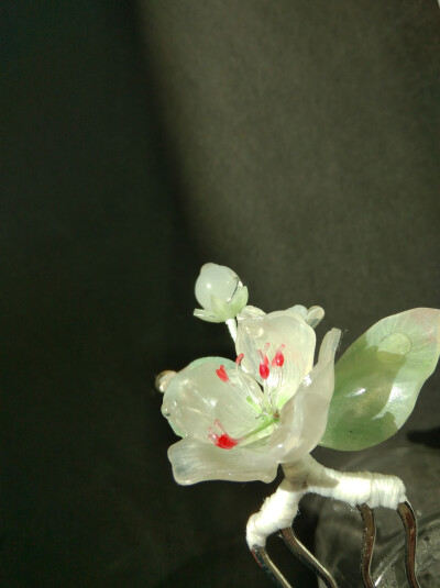 【棠梨】深院袅香风，看梨花、一枝开早。