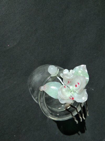 【棠梨】深院袅香风，看梨花、一枝开早。