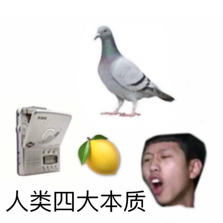 咕咕咕