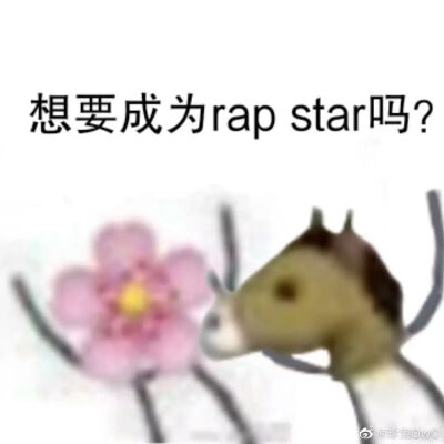 花少北，花少北和某幻，阴阳怪气，某幻君，针不戳，rap star