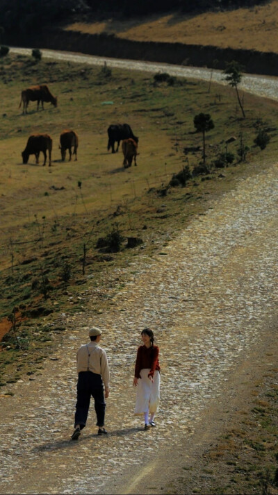 背景 壁纸
杂图收集箱