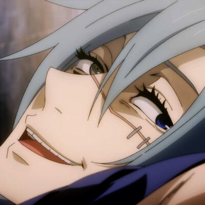 咒术回战/伏黑惠/虎子/真人